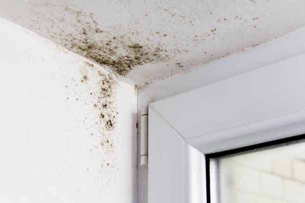 Comment se prémunir d&rsquo;un problème d&rsquo;humidité ?