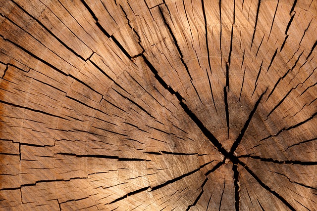 Pourquoi le bois est-il un matériau de prédilection pour les objets de décoration ?