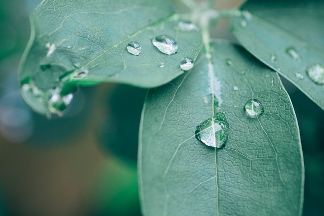 L&rsquo;art du vert&nbsp;: Intégrer des portes-plantes dans votre décoration minimaliste