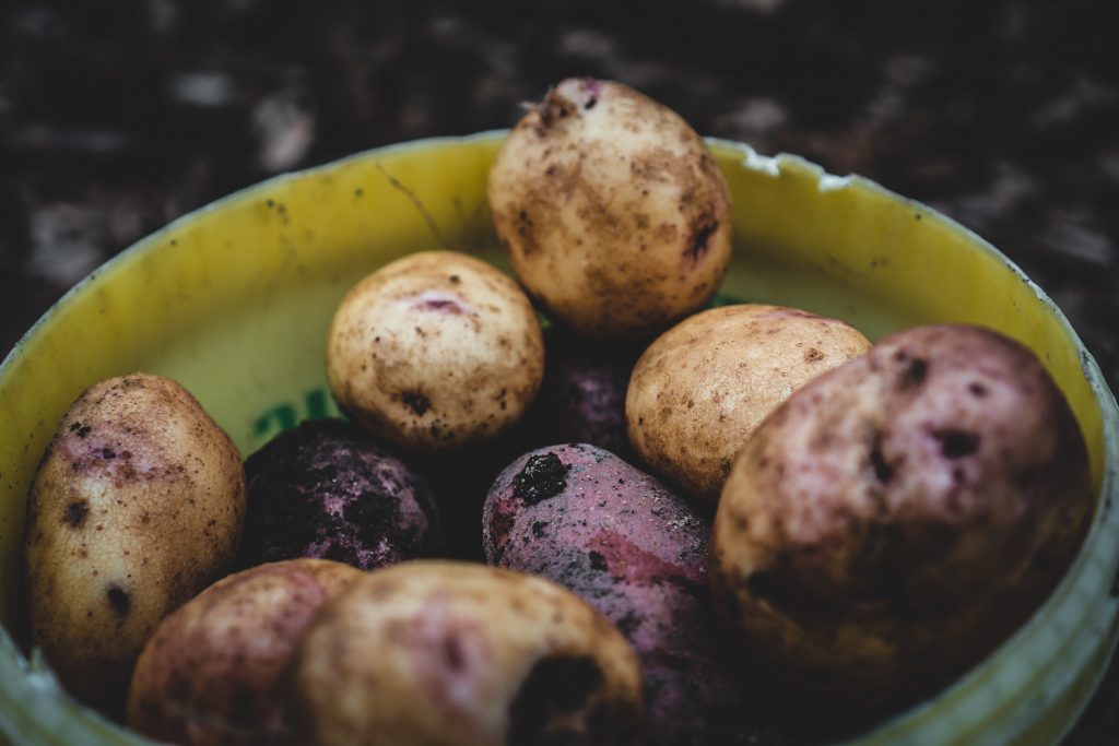 La révolution des coupes-frites : trouvez l&rsquo;outil idéal pour votre cuisine